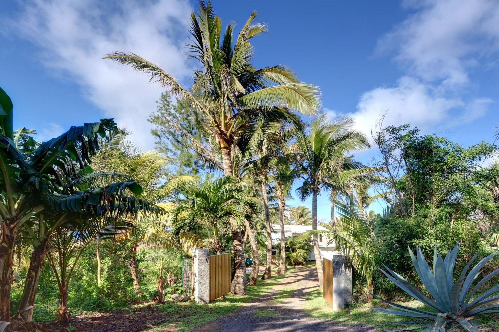 La Case Coco - Maison Climatisee A Saint-Joseph Esterno foto